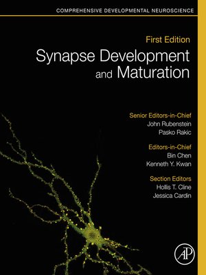 cover image of Synapse Development and Maturation